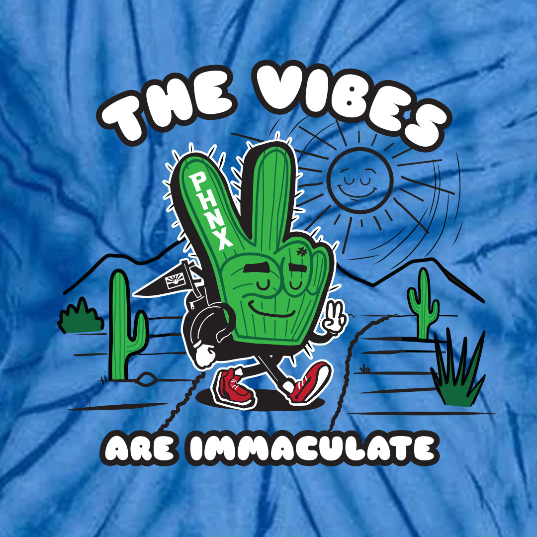 The Vibes Are Immaculate Blue Tie Dye Tee